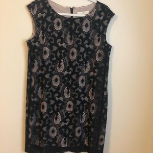 Loft Black Lace Sleeveless dress size 8P